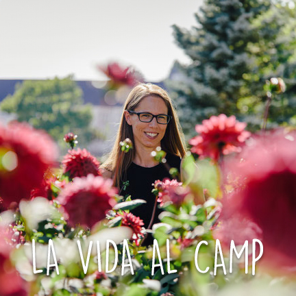 LA VIVA AL CAMP
