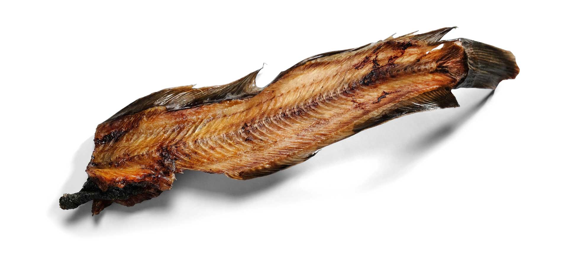Hofzeit Fisch Hundefutter
