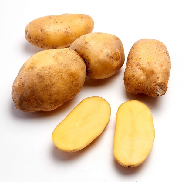 Hofzeit Kartoffel Saisonal 2kg – Bild 2